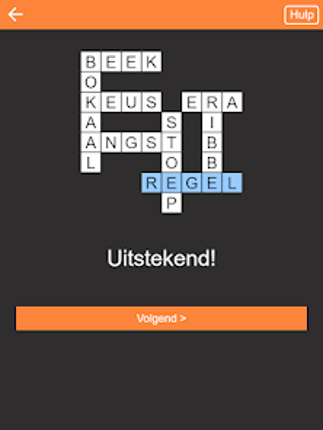 Kruiswoordpuzzel Nederlands screenshot