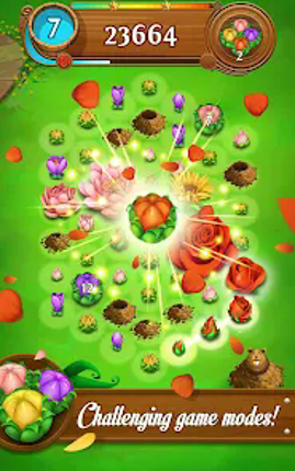 Blossom Blast Saga Image