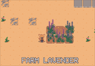 Lavender Fields Forever Image