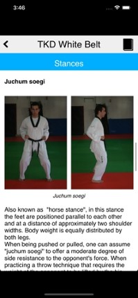 The Taekwondo White Belt screenshot