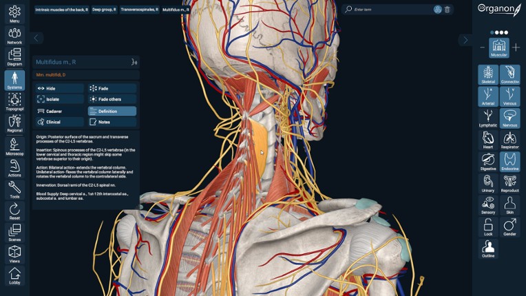 3D Organon screenshot