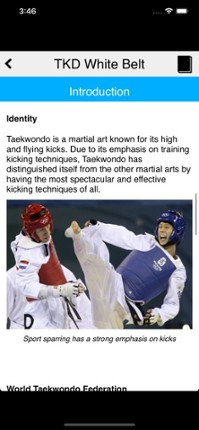 The Taekwondo White Belt screenshot