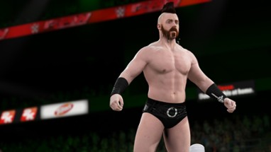 WWE 2K16 Image