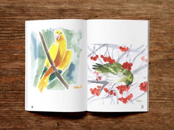 Book of Birds v1 - an artzine Image