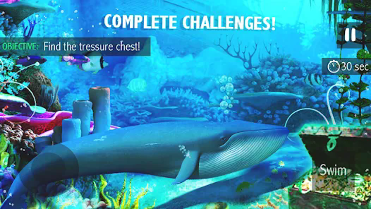 Blue Whale Simulator - Game screenshot