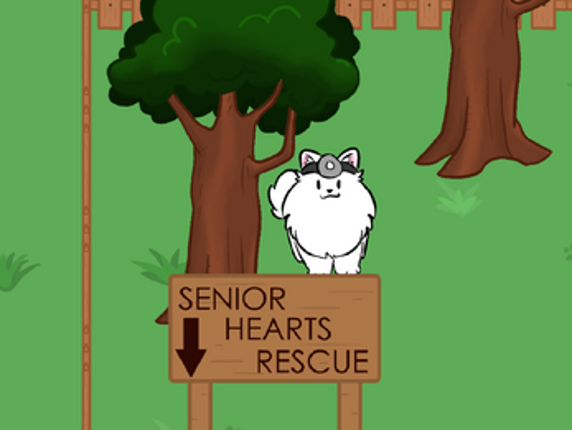 Senior Hearts Image