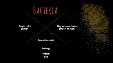 Bacteria Image