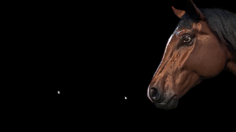 Let's Kill the Horse screenshot