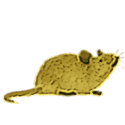 Games like Rat Race