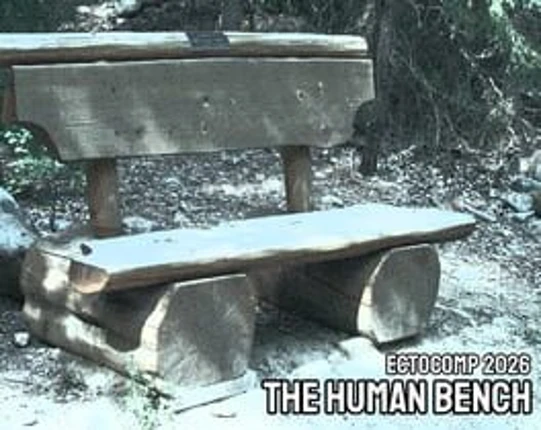 The Human Bench Image