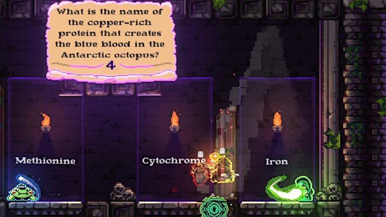 The Quizard's Domain screenshot