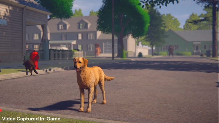 Whose Lawn Is It Anyway screenshot