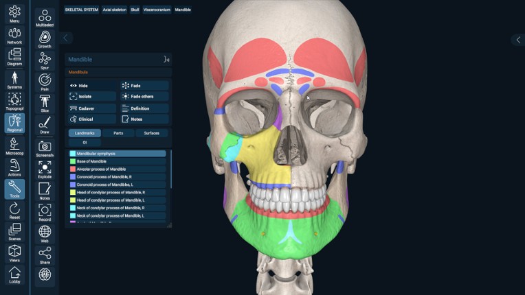 3D Organon screenshot