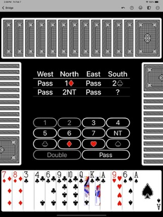 Bridge by NeuralPlay screenshot