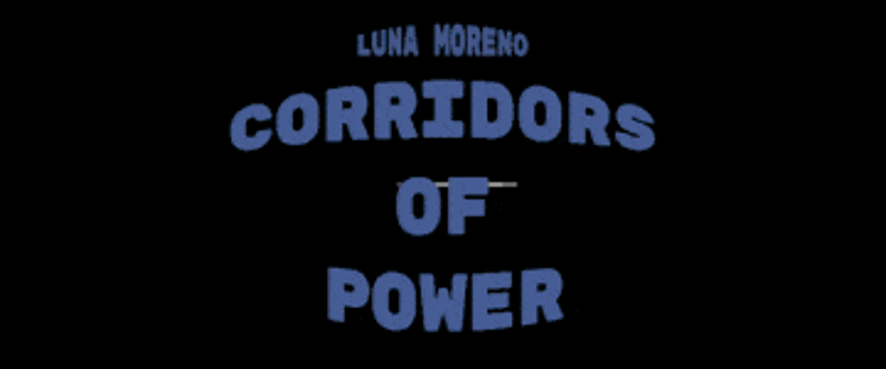 Corridors of Power screenshot