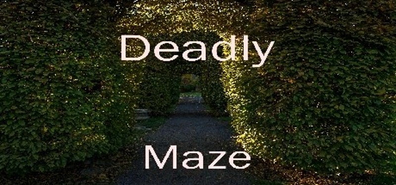 Deadly Maze Image