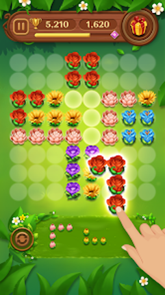 Block Puzzle Blossom Image