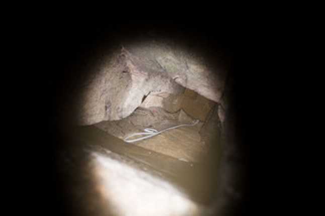 Granite Casket screenshot