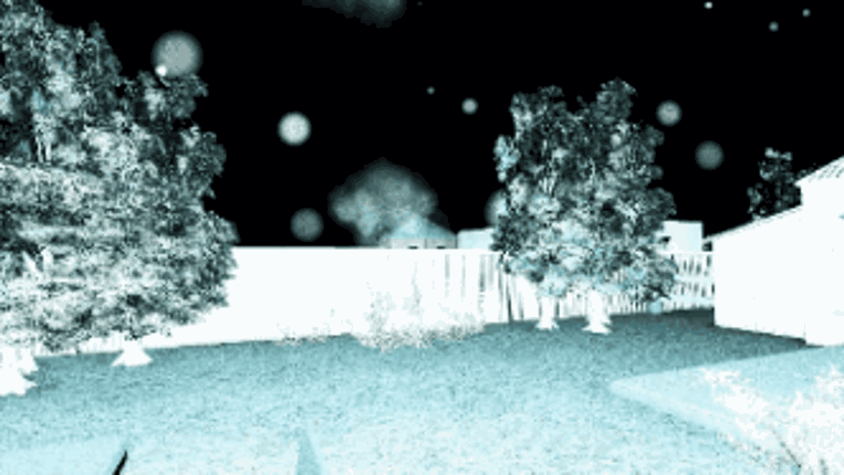 Night Spirits Image