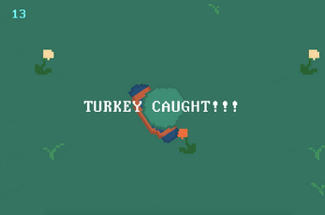 SUPER TURKEY BOY screenshot