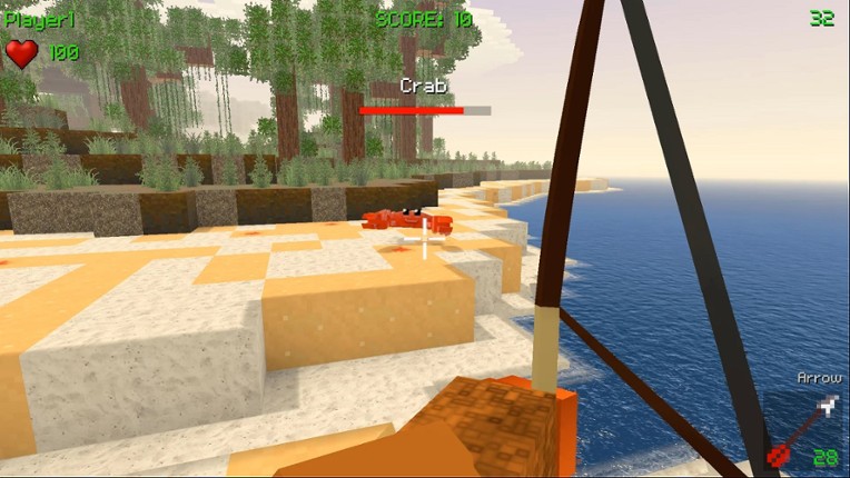 BlockRoxx Pirates screenshot