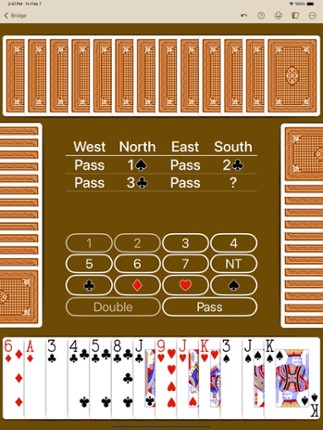 Bridge by NeuralPlay screenshot