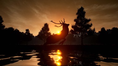 Deer Journey Image