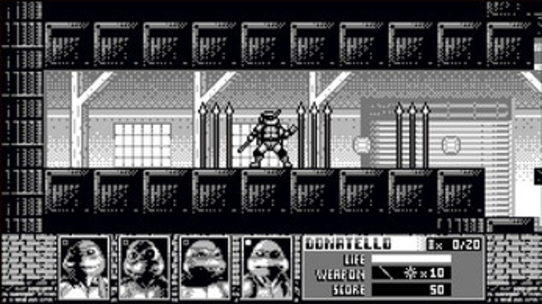 Teenage mutant ninja turtles Cowabunga Image