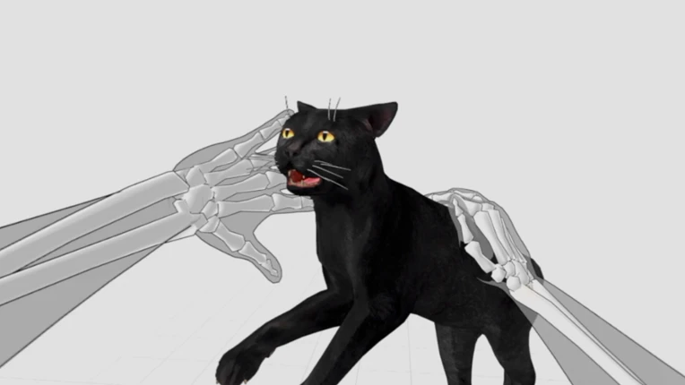 Hand Physics Lab screenshot