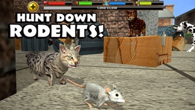 Stray Cat Simulator Image