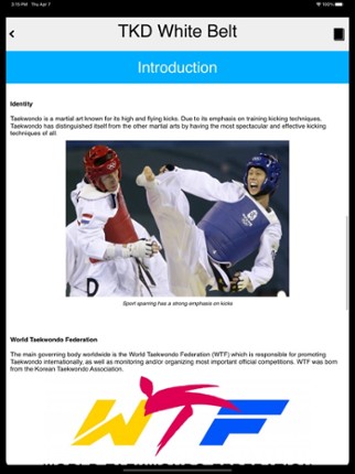 The Taekwondo White Belt screenshot