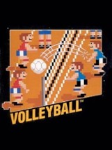 Volleyball Image