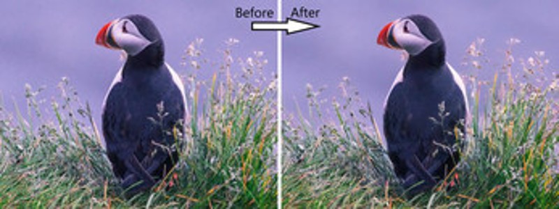 Waifu2x-Extension-GUI screenshot