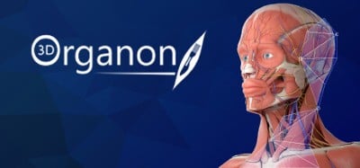 3D Organon Image