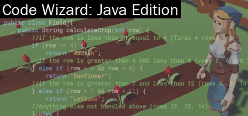 Code Wizard: Java Edition Game Cover