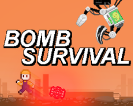 Bomb Survival Image