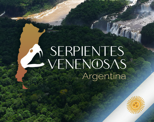 Games like Serpientes Venenosas Argentina/ Venomous Snakes Argentina