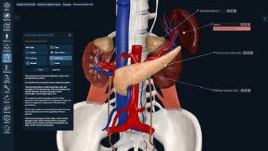 3D Organon Image