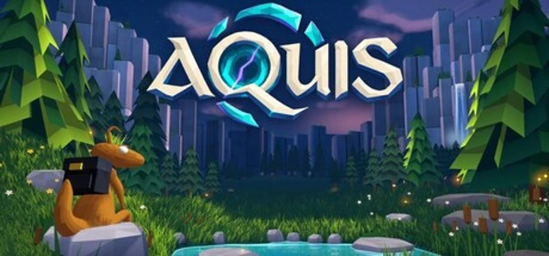 Aquis Image
