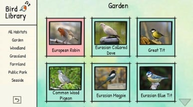 BirdLingo: A birdsong learning game Image