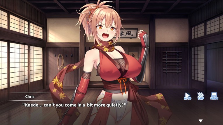 Do As I Say - Obedience to the Ninja Master Image