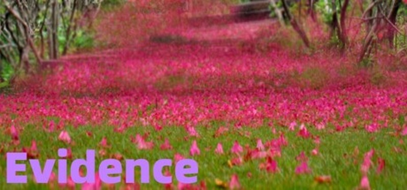 Evidence Image