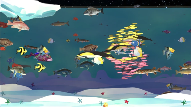 Fishtographers Image