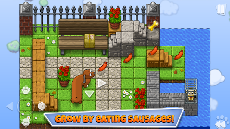 Save the Puppies Premium Image