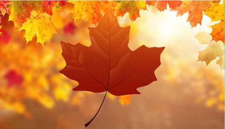 LochlanKyte_Prototypes screenshot