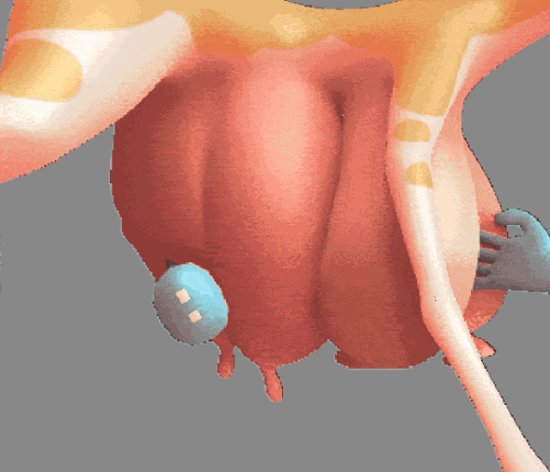 Touch the Cow (Tech Demo) Image