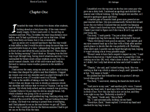 Hotel of Lost Souls screenshot