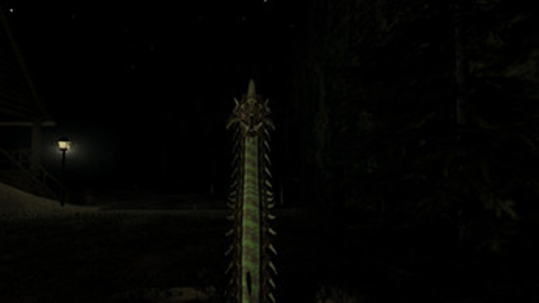 The Night Image