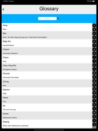 The Taekwondo White Belt screenshot