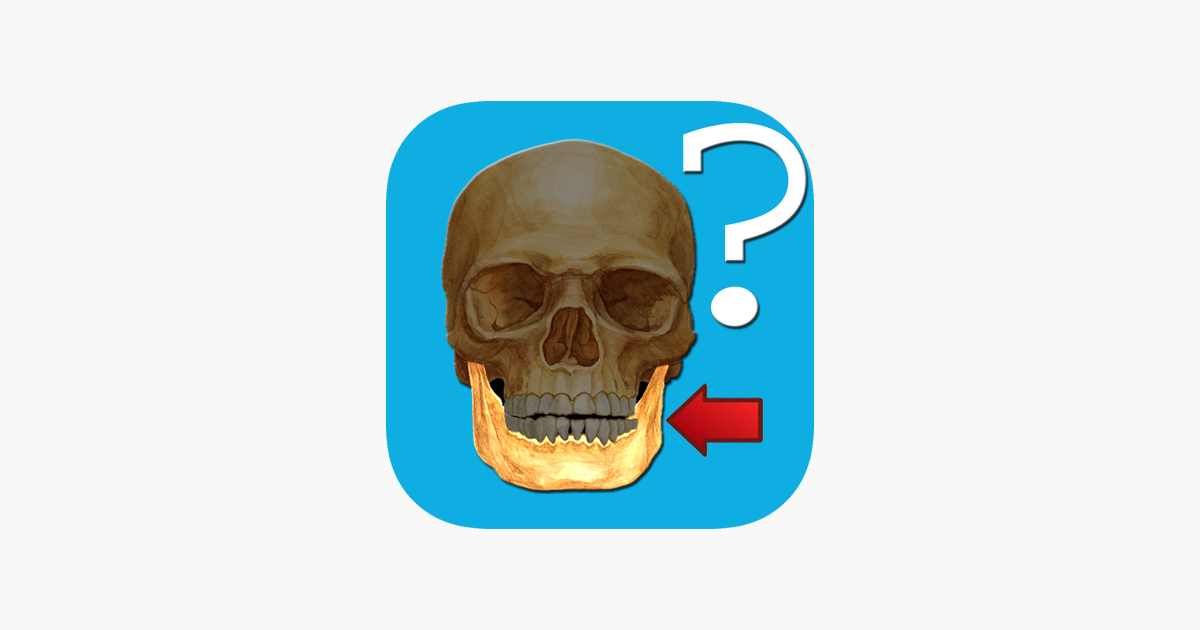 Games like Anatomy Quiz